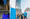 Nederland kleurt blauw