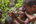 Plastic Bricks school Côte d'Ivoire