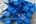 Blauw voor jou