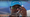 Video Fearless Delivery van UNICEF